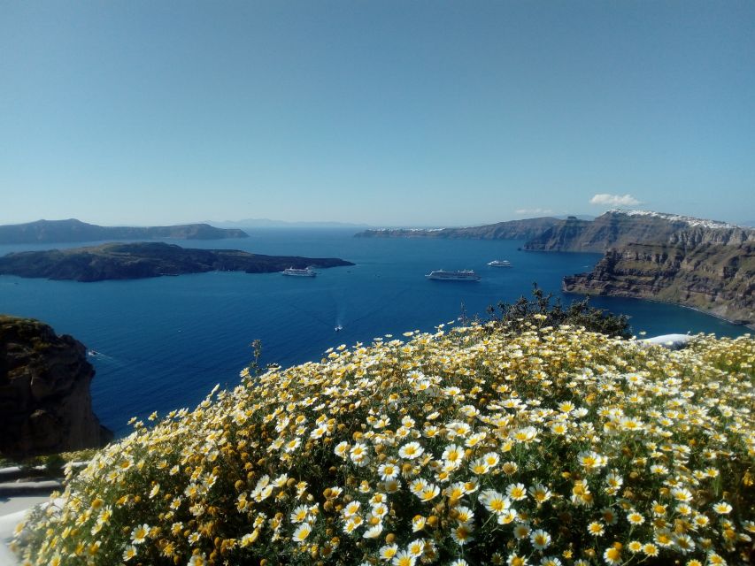 Santorini: Half-Day Sightseeing Tour With Hotel Pickup - Tips for Tour Participants