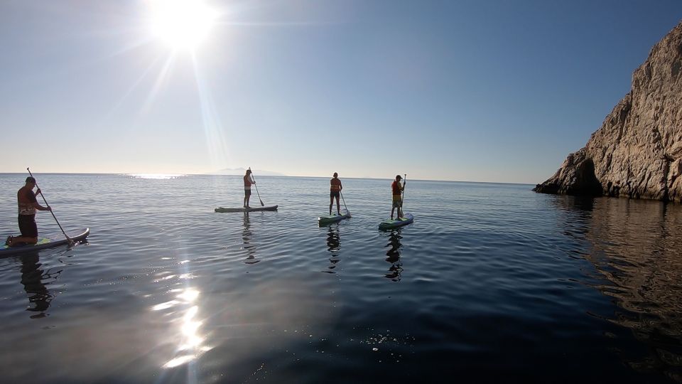 Santorini: Stand-Up Paddle and Snorkel Adventure - Discovering Ocean Life