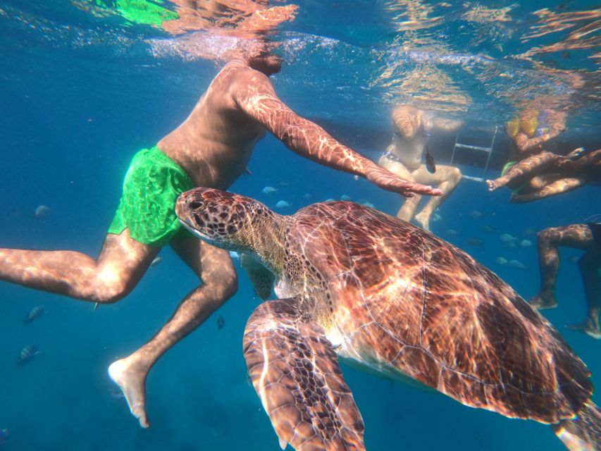 Sao Vicente: Snorkeling With Turtles Breathtaking Experience - Unique Aspects of the Tour