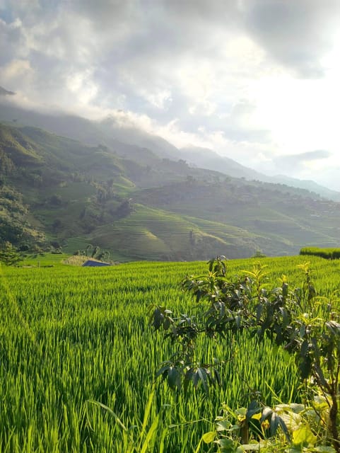 SAPA 2 DAY Trekking & 1 Night Homestay With LOCAL PEOPLE - Cultural Experiences