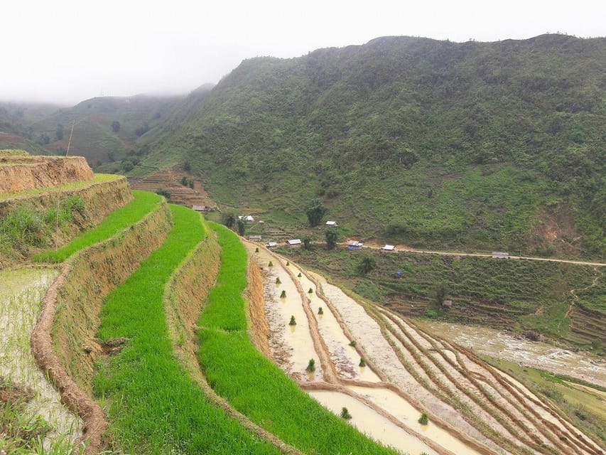 Sapa Beautiful Rice Field, Village - Easy Walking Kid,Senior - Accessibility Features