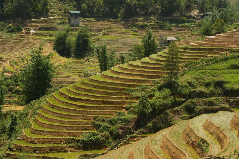 Sapa Daily Trip: Easy Trekking and Hotel 2 Days 1 Night - Pickup and Drop-off Details