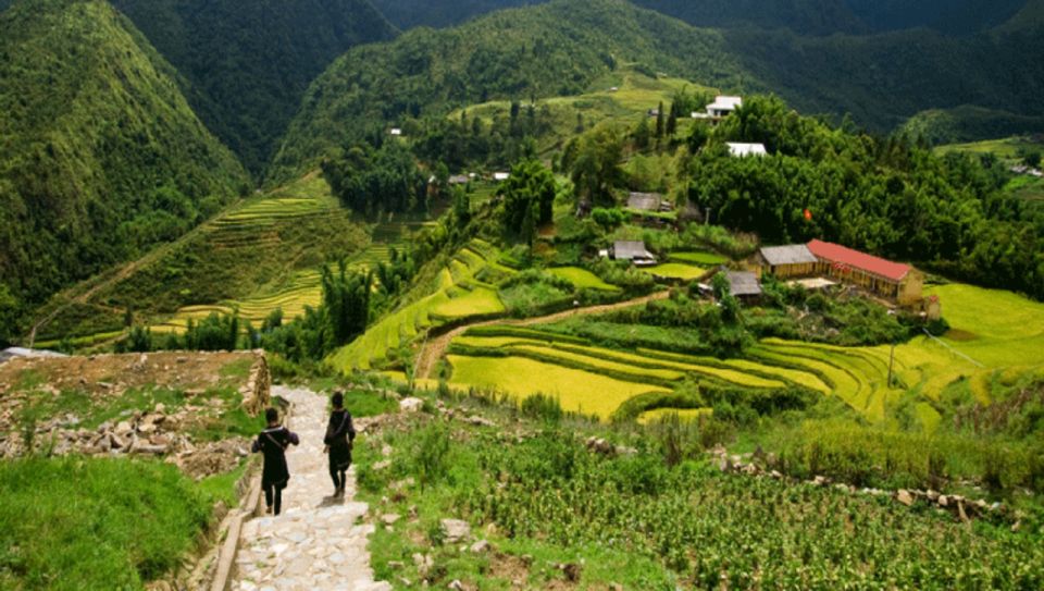 Sapa: Guided Full-Day Trekking Muong Hoa Valley With Lunch - Best Time to Visit