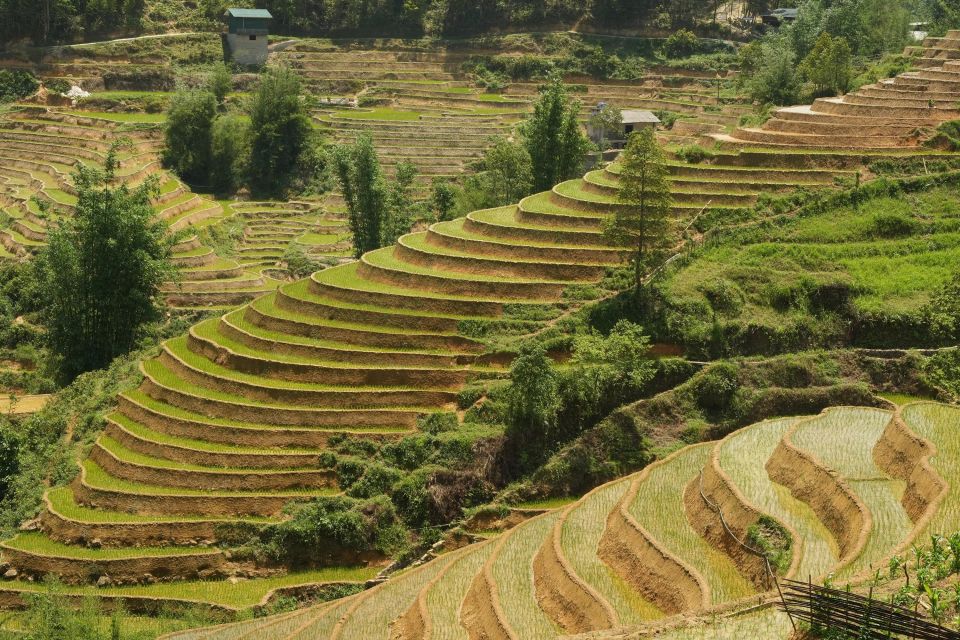 Sapa Hard Trekking Villages and Homestay 2 Days 1 Night Trip - Restrictions and Recommendations