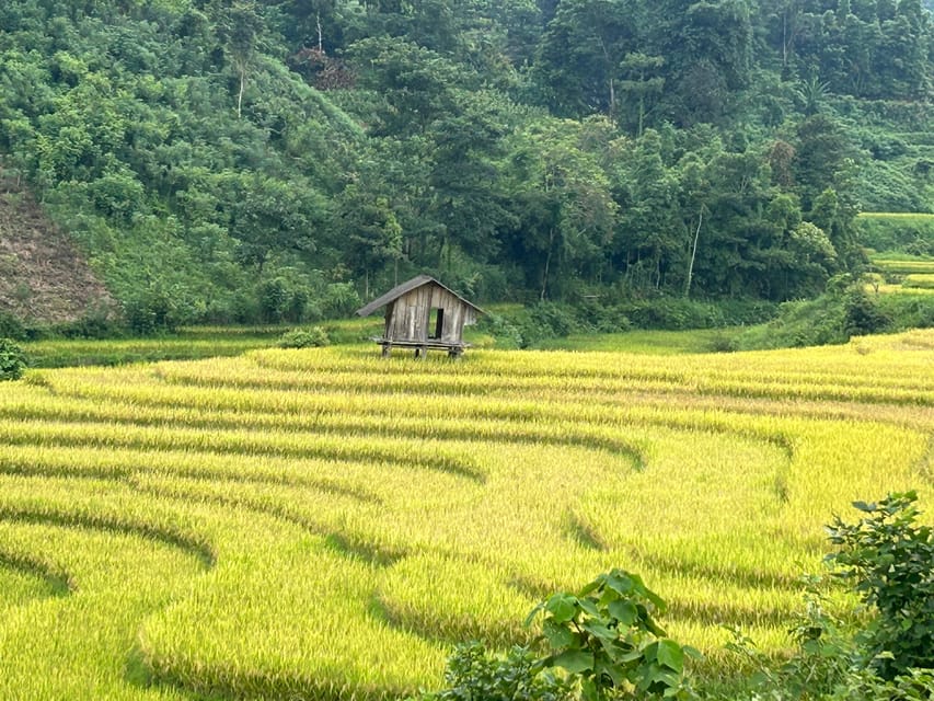 Sapa: Motorbike Tour 1 Day Visit Waterfalls & Local Villages - Motorcycle and Cultural Visits