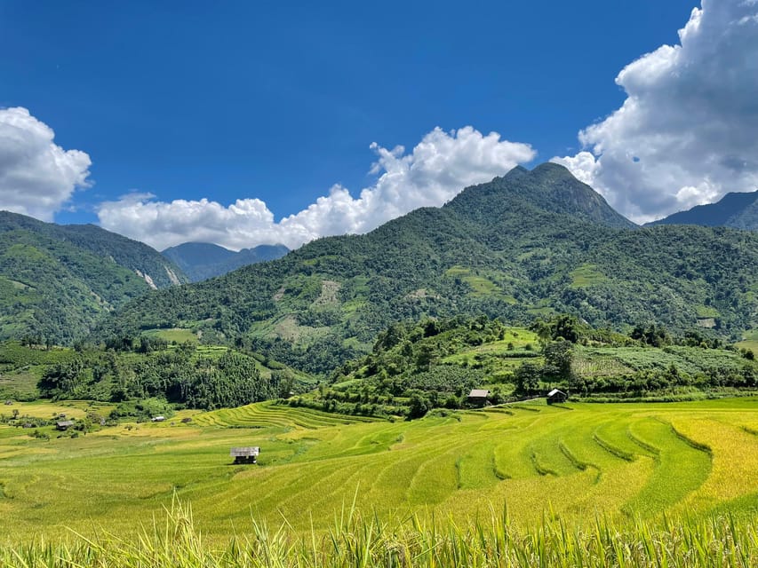 Sapa: Trekking Through Terraced Rice Fields & Valley 1 Day - Key Stops and Activities