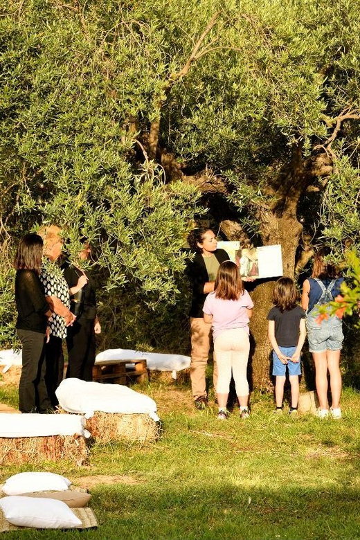 SARDINIA FOOD Tour in the Oil Mill, With Tasting, at Sunset. - Tips for Your Visit