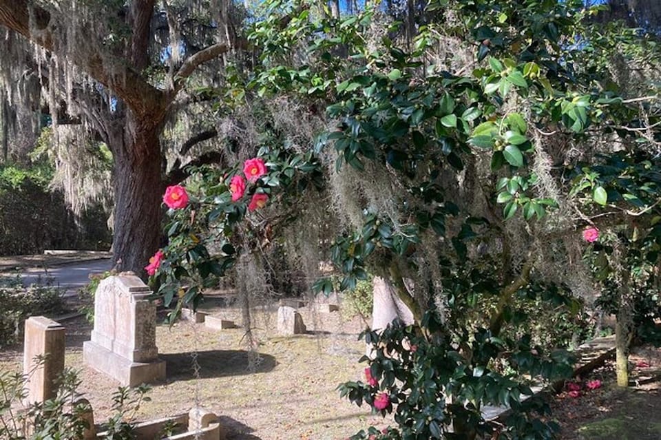 Savannah: Bonaventure Cemetery Golf Cart Guided Tour - Customer Feedback