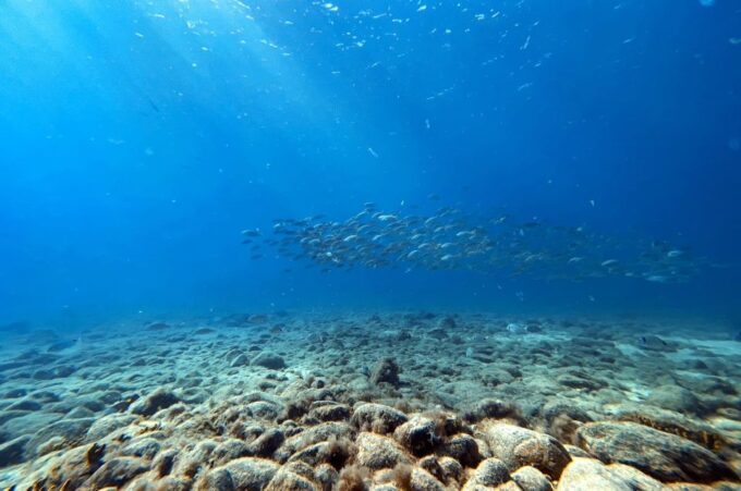 Scuba Diving Baptism in Caleta De Fuste - Frequently Asked Questions