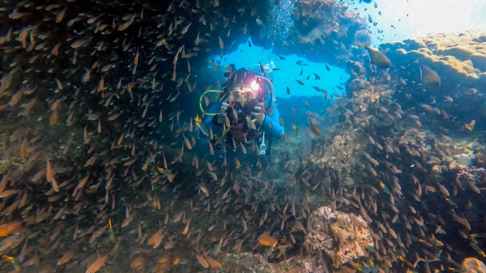 Scuba Diving From Stunning Coral Reef in the Heart of Phuket - Customer Feedback Highlights