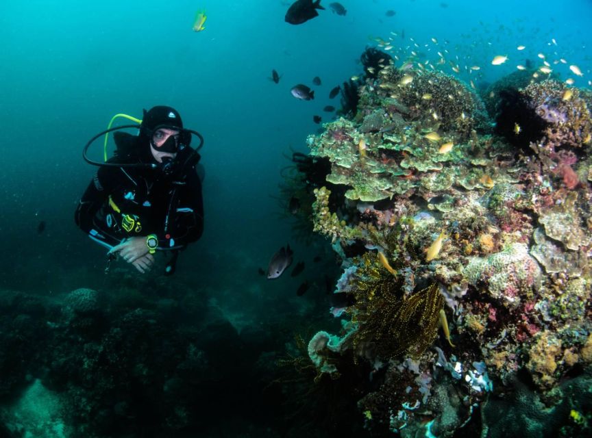 Scuba Diving in Boracay: SSI Open Water Certification - Course Overview