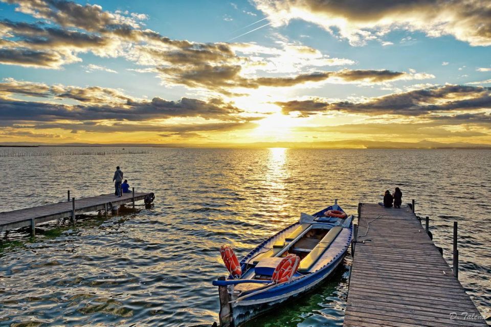 See Albufera Lake +City of Arts and Sciences on a Bike Tour - Visiting City of Arts and Sciences