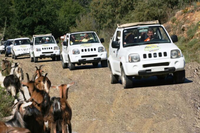 Self-Drive Jeep Safari to South Coast, Palm Beach & Canyons - Booking and Cancellation