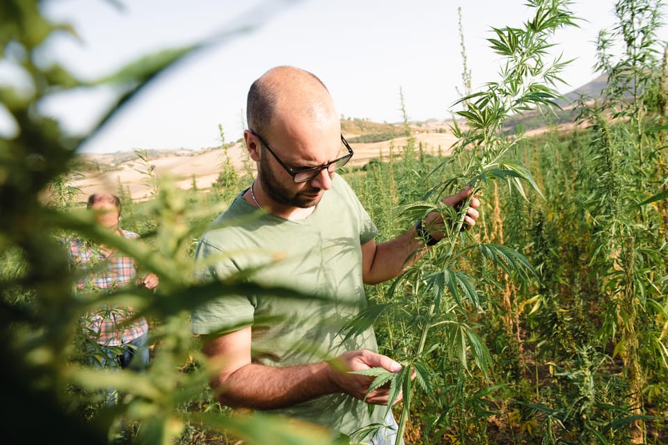 Sensory Walk With Lunch in the Caltagirone Countryside - Frequently Asked Questions