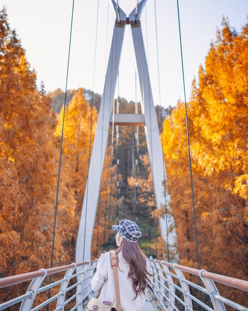 Seoul: Autumn Jangtaesan Recreational Forest One Day Tour - Picturesque Landscape Photography