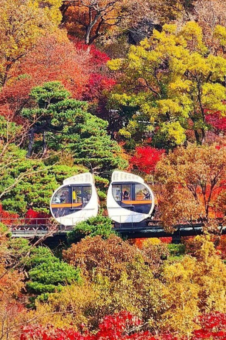 Seoul: Hwadam Forest & Namhansanseong & Folk Village Tour - Transportation and Drop-off