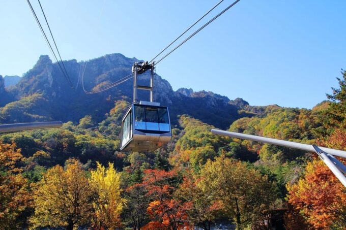 Seoul: Mt. Seorak National Park Autumn Foliage One Day Tour - Participant Information
