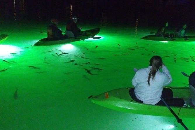 Sharkeys Glass Bottom Fish Feeding LED Night Tour St. Pete Beach - Nearby Attractions and Activities