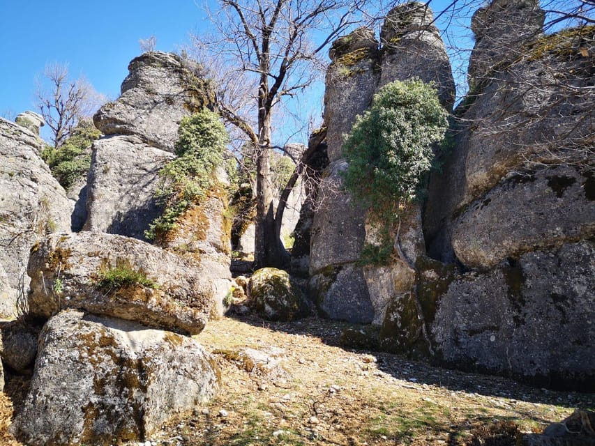 SideAlanya: Jeep Safari, Tazi Canyon, and Selge Theater Tour - Safety Measures