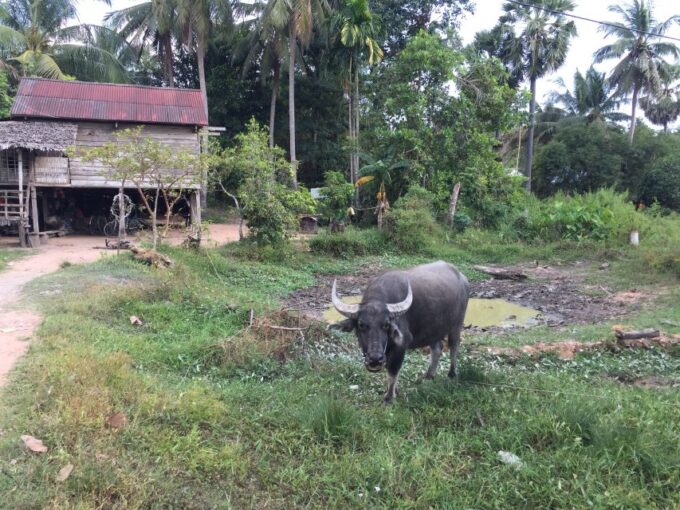 Siem Reap: 4-Day Angkor Wat and Beng Mealea Tour - Inclusions and Exclusions
