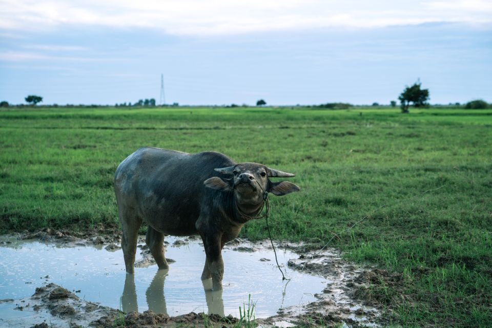 Siem Reap: Khmer Village and Crocodile Farm ATV Tour - Booking Information