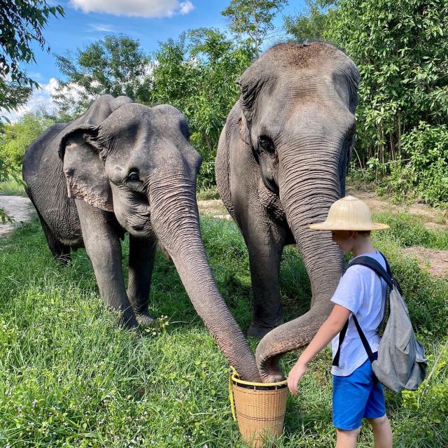 Siem Reap: Kulen Elephant Forest & Tonlesap Lake - Cultural Insights