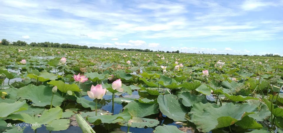 Siem Reap: Lotus Silk Farm Boat Ride & 3 DIY Crafts - Customer Feedback and Ratings