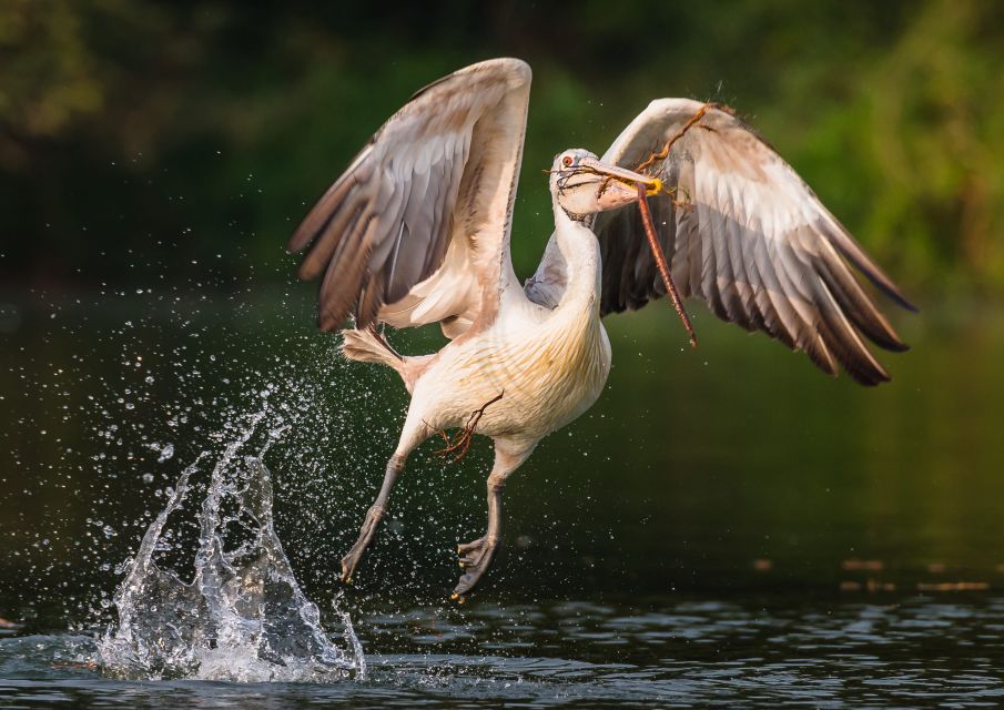 Siem Reap: Prek Toal Tonle Sap Biosphere Reserve Tour - Important Customer Information