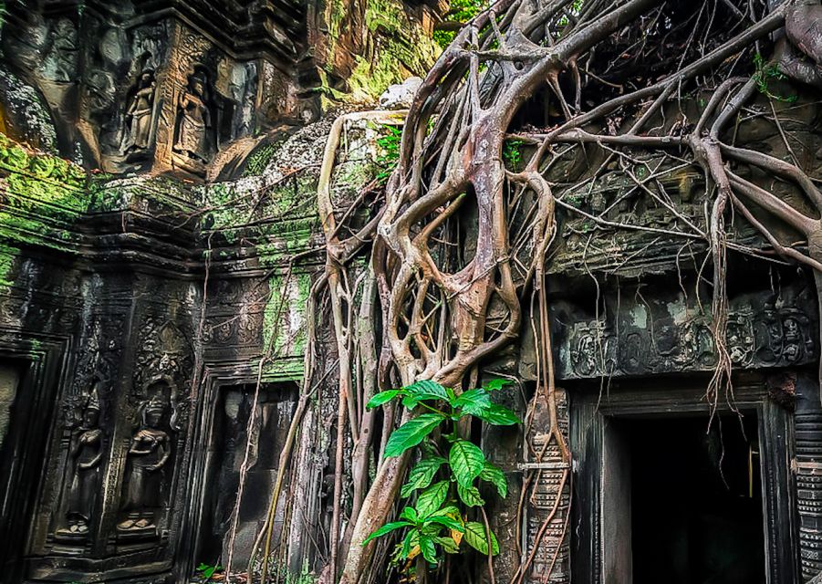 Siem Reap: Private Guided Day Trip to Angkor Wat With Sunset - Dress Code Requirements