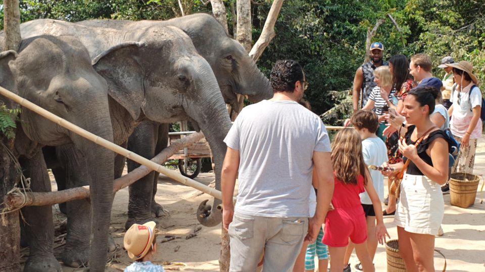 Siem Reap: Small Group Tour of Kulen Elephant Forest - Customer Feedback