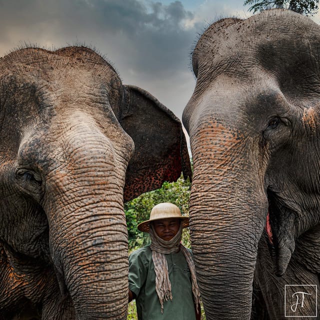 Siem Reap: Small Group Tour of Kulen Elephant Forest - Accessibility and Transportation