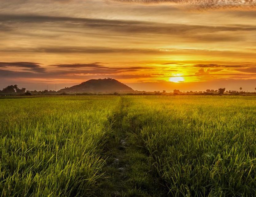 Siem Reap: Unique Street Food Authentic And Nightlife Tour - Whats Included in the Tour