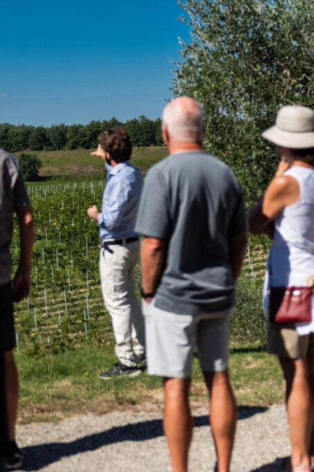 Siena: Winery Tour/Tasting With Owner/Maker of Awarded Wines - Tasting Awarded Wines