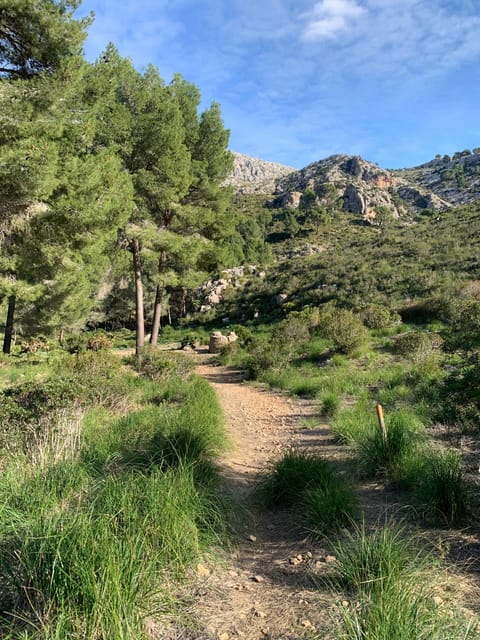 Sierra De Tramuntana Hiking Experience - Outdoor Experiences