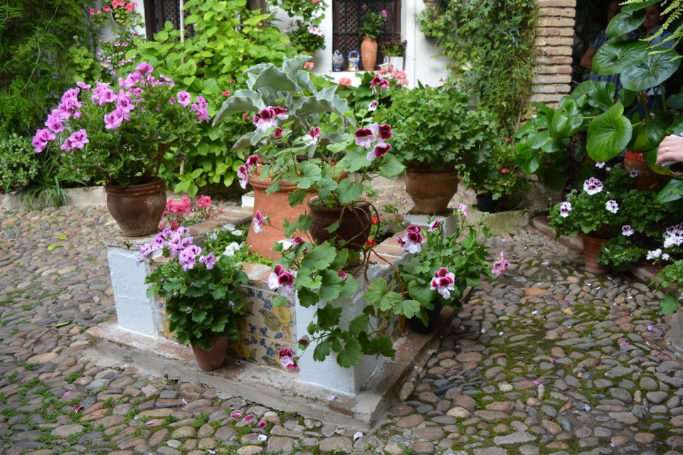 Sights, Sounds, and Scents of Córdobas Patios - Floral Diversity and Atmosphere