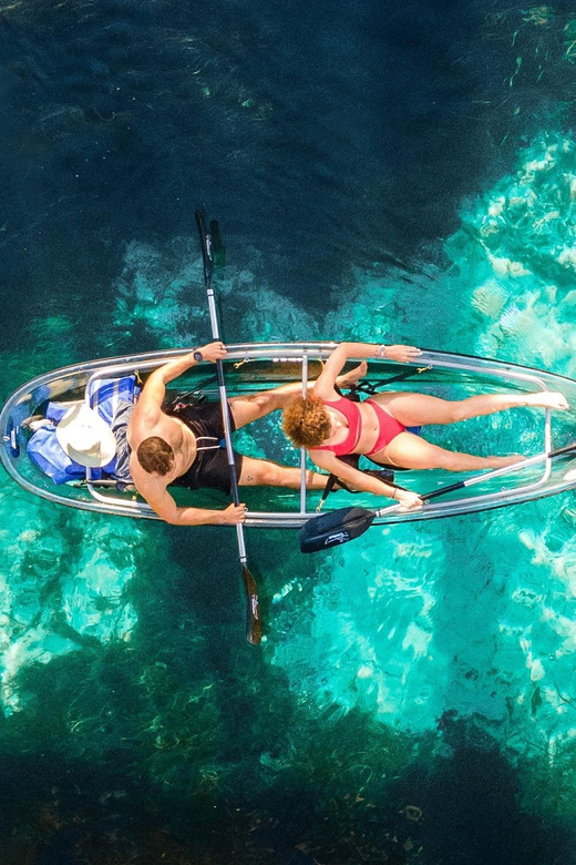 Silver Springs: Clear Kayak Manatee Season Tour - Diverse Wildlife Sightings