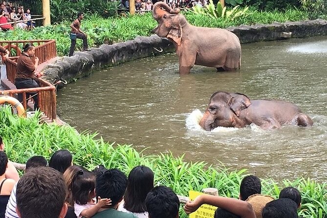 Singapore Zoo Entry Ticket - Tips for Visiting