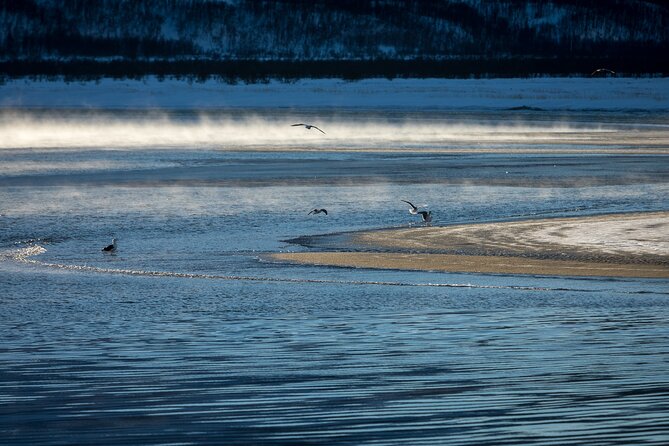 Small Group, Arctic Landscape Blue Day Tour With Creative Vacations - Local Insights and Experiences