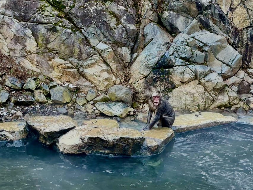 Snow Monkey Park Day Tour Pick-up and Drop-off From Nagano - Important Information