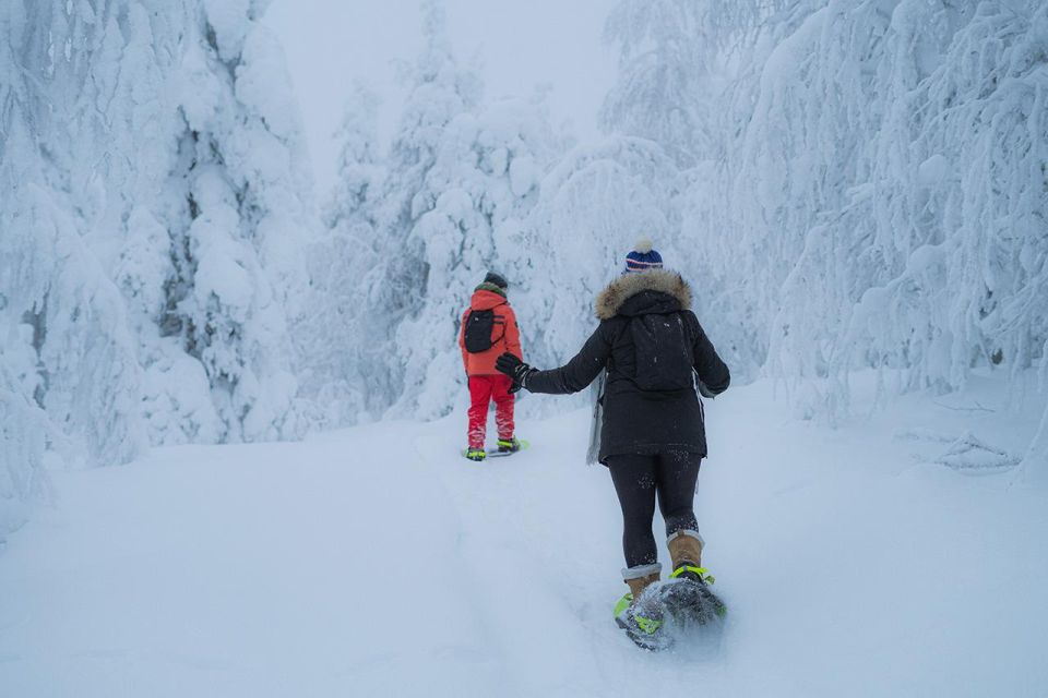 Snowshoeing in the Frozen Forest - Preparing for Your Adventure