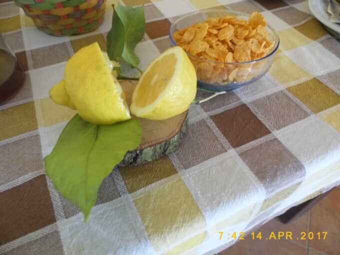 Sorrento: Dinner in the Farm With Local Produces & Transfer - Local Produce Highlights