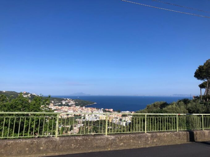 Sorrento: Pizza School & Mozzarella Show & Lemon Garden Tour - Mozzarella Show