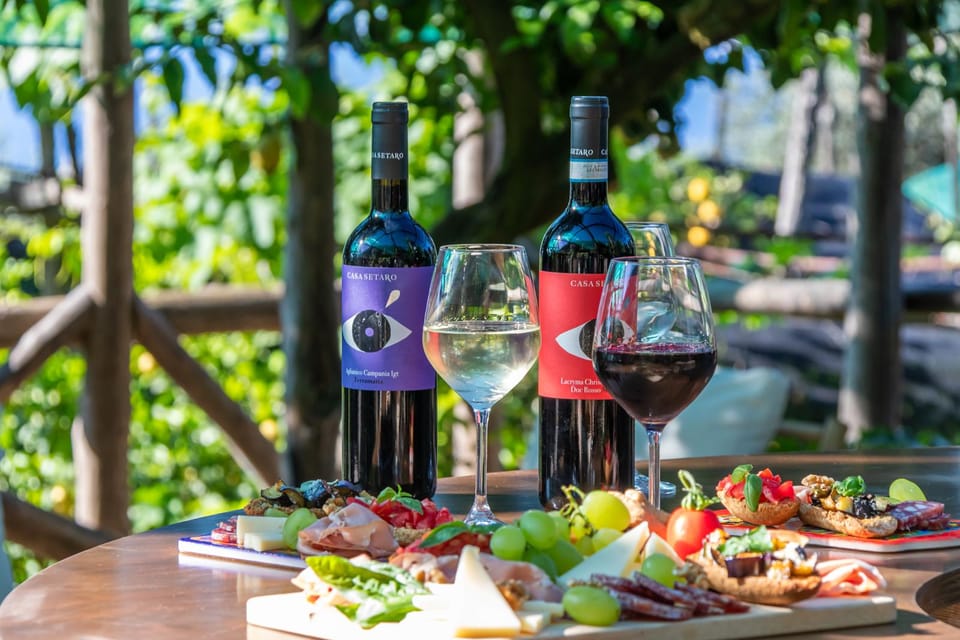 SORRENTO: Wine Tasting Overlooking the Sea in a Lemon Grove - Customer Reviews and Ratings