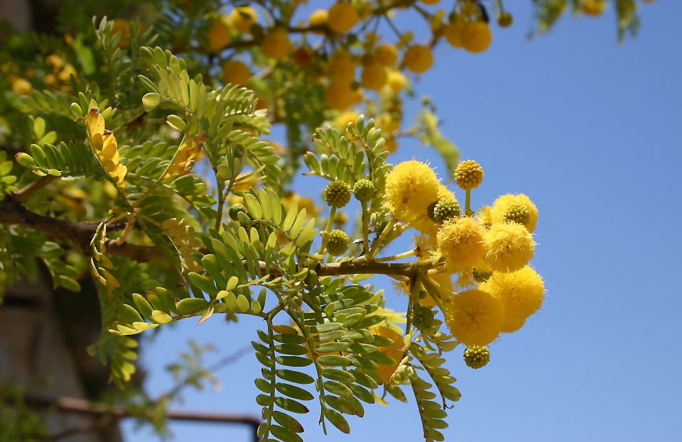 South Coast Private Nature Walking Tour With Transport - Pricing Information