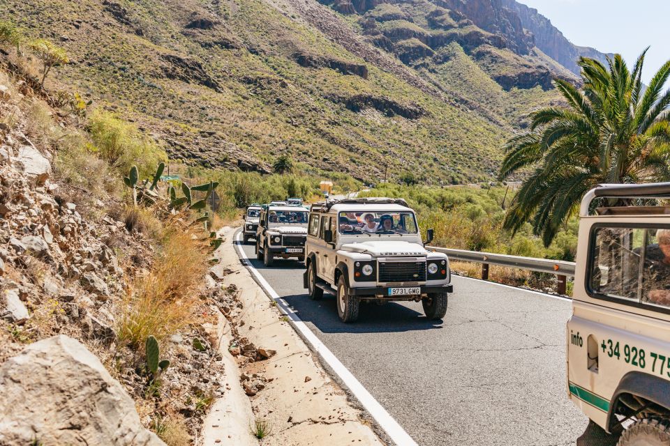 South Gran Canaria: Off-Road Valleys & Villages Jeep Tour - Scenic Landscapes