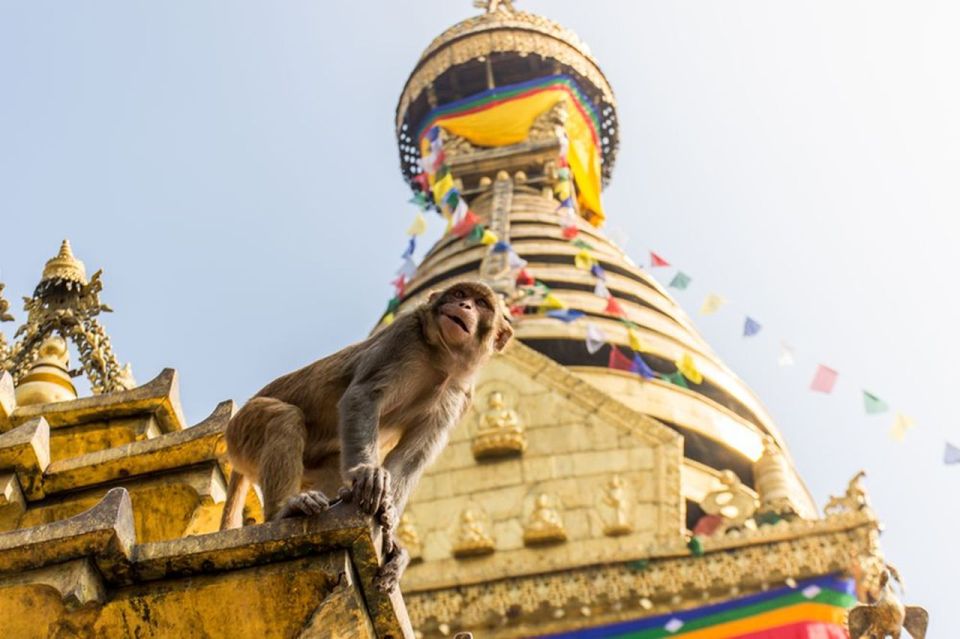 Spiritual Nepal: Expert Insight Into Multifaith Journey - Tips for Travelers