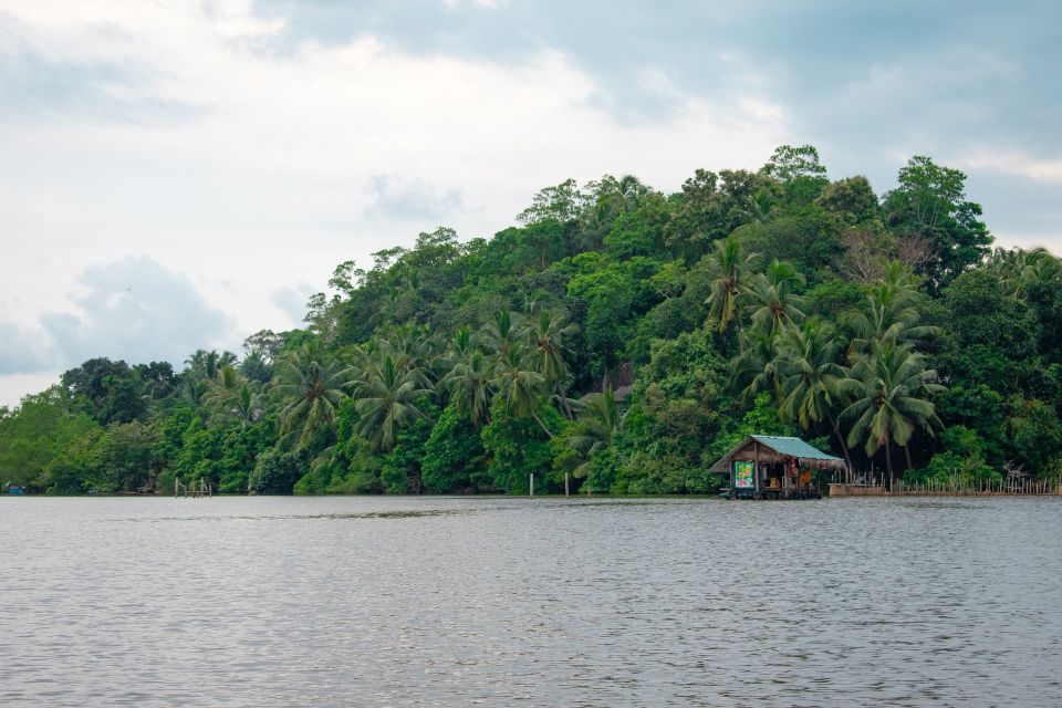 Sri Lanka Bentota: Mangrove Lagoon and River Cruise - Duration and Pricing