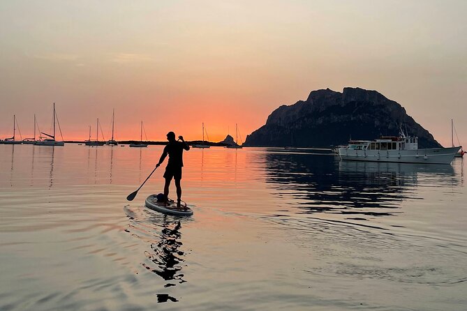 Stand Up Paddle Tour Dolphins Experience Golfo Aranci - What to Bring and Inclusions