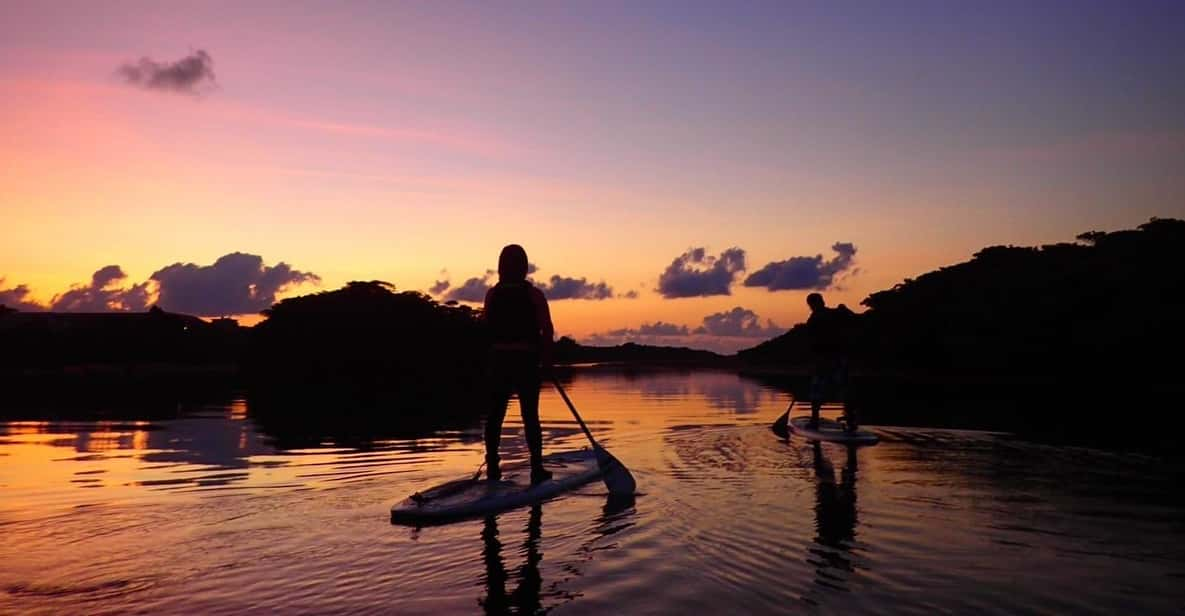 Stand Up Paddleboard: Amazing Sunrise at Mangrove River - Tips for a Great Experience