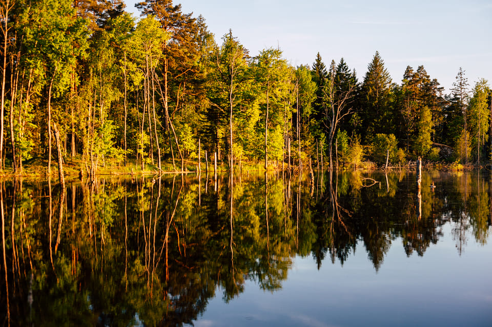 Stockholm: Canoe Adventure in Bogesund Nature Reserve - Booking Requirements